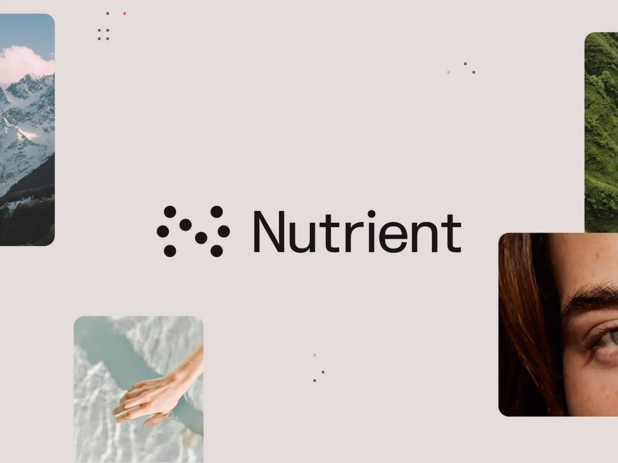 Nutrient case study